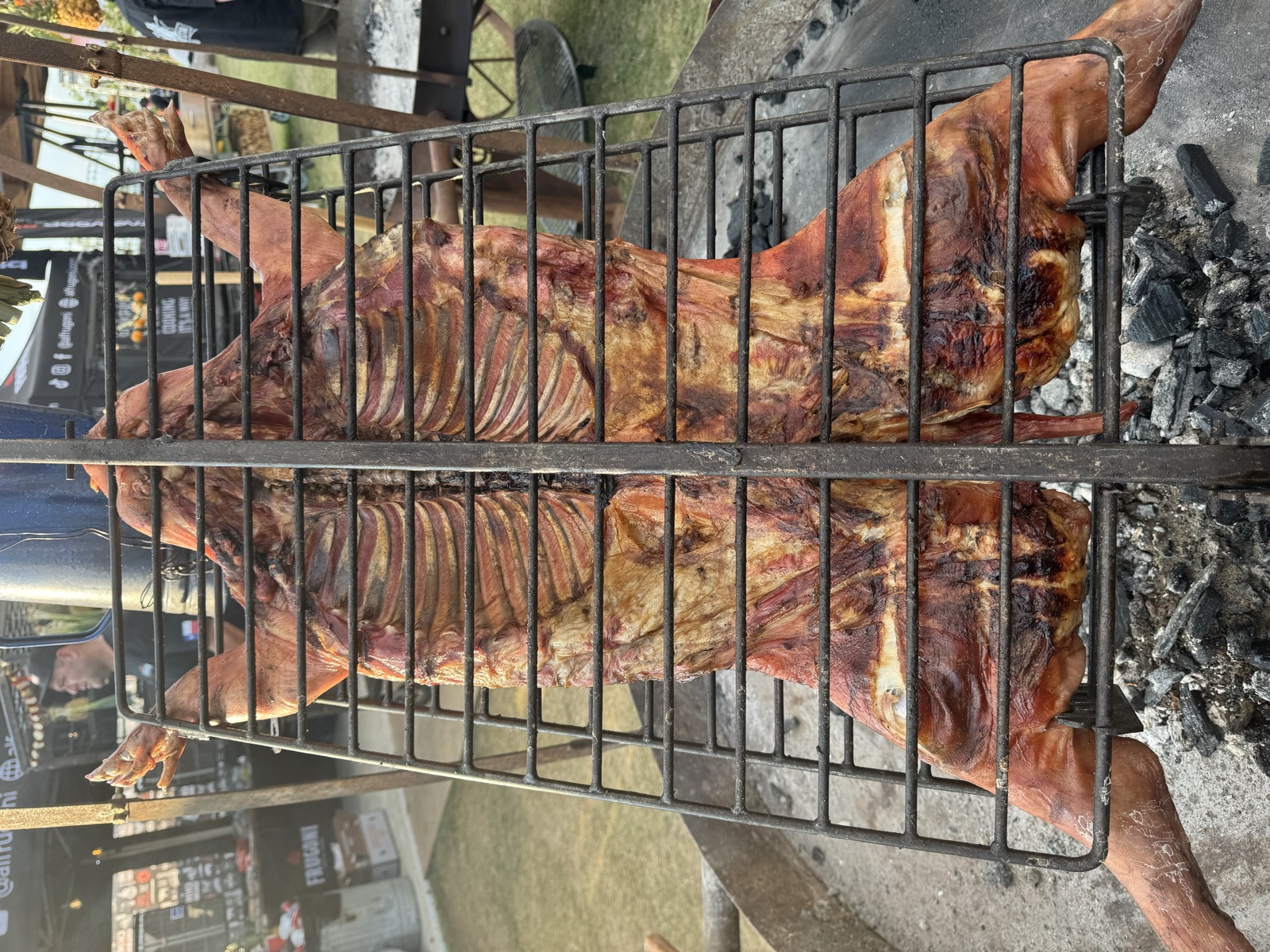 A whole costillar opening on the cross